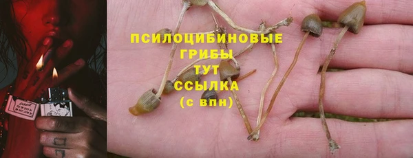 ешки Зеленодольск