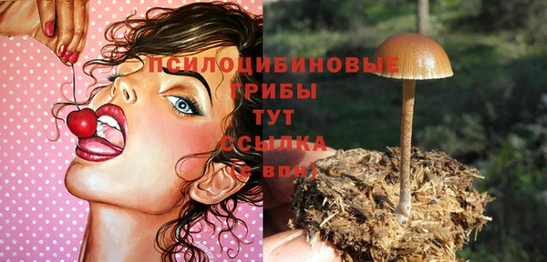 шишки Зеленокумск