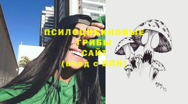 ешки Зеленодольск