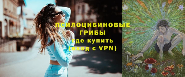 ешки Зеленодольск